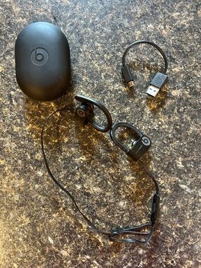 Beats Powerbeats Wireless Earbuds - Black